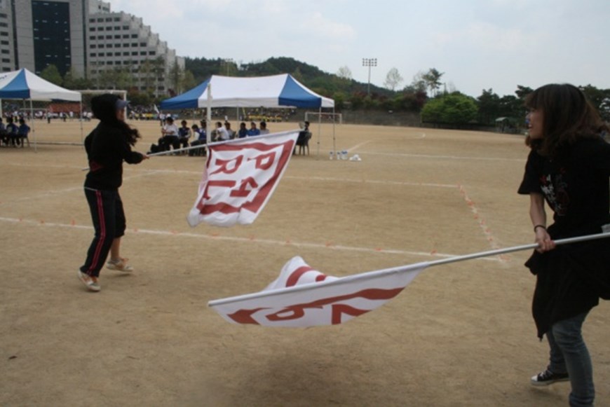 2010년 청룡체전