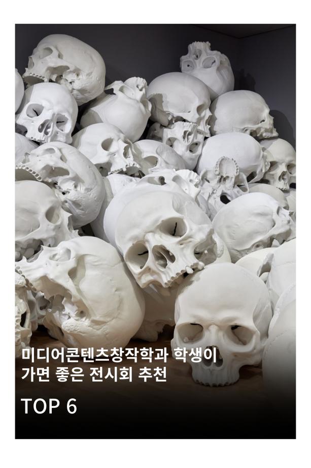 우리과 학생이라면 한 번 가볼만한 전시회 추천!🫠