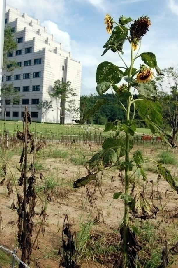 지난 9월 학교 풍경 (4)