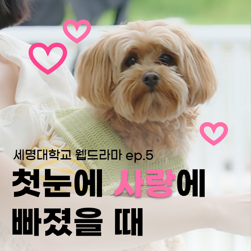세명대학교 인스타그램 영상4